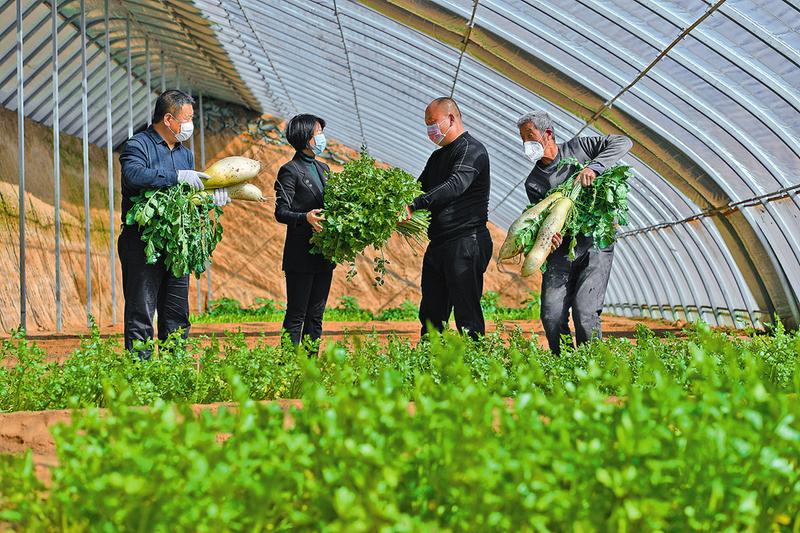 村大棚蔬菜种植户罗小林得知该镇"甘红"团队正在为乡亲们免费配送蔬菜