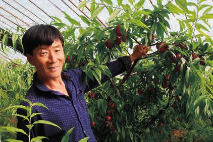 综合新闻 虽然入了冬,可是60多岁的老党员张生成并没有闲着,大