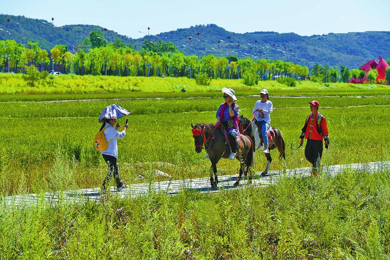 8月25日,在南泥湾景区的稻田间,游客体验骑马旅游项目